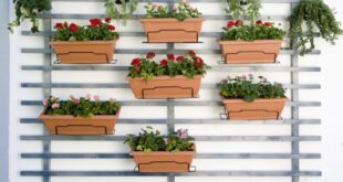 Ideas para crear un jardín vertical en tu balcón